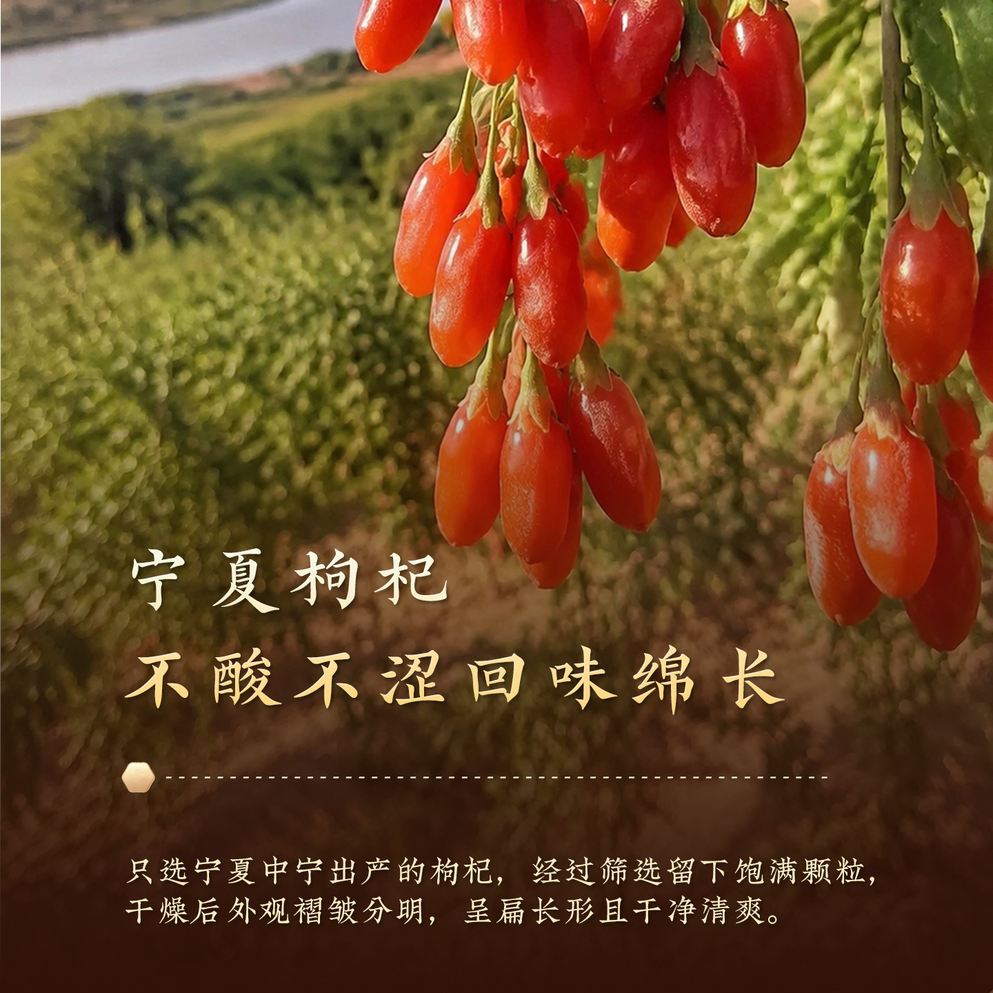 胡庆余堂庆余臻礼红枸杞礼盒